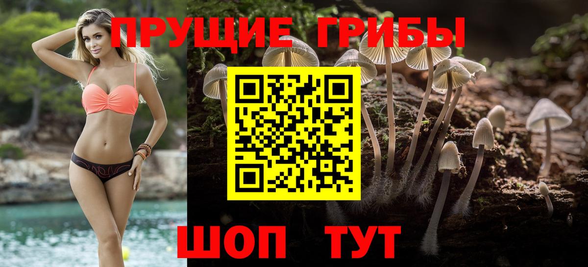Псилоцибиновые грибы Psilocybe  Вход с VPN  Партизанск 