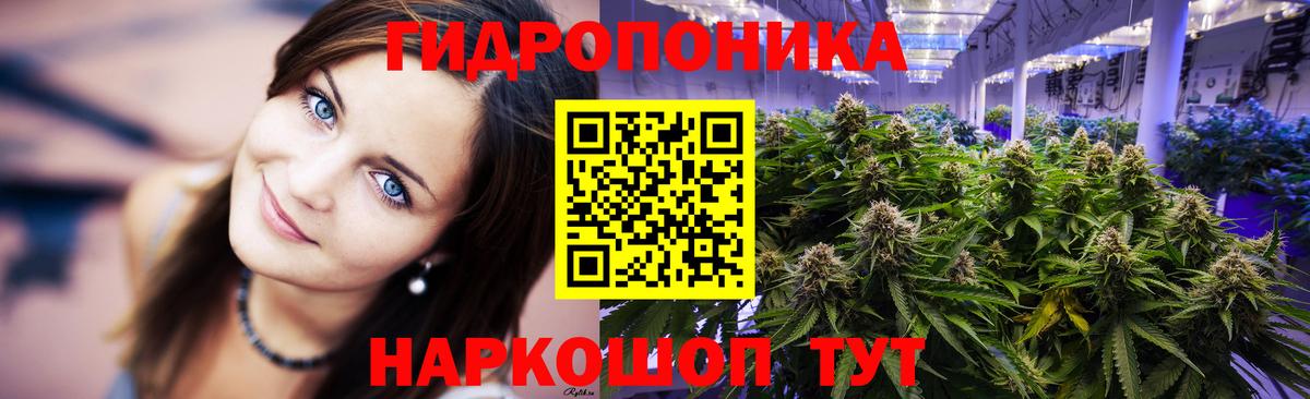 Конопля Amnesia Партизанск